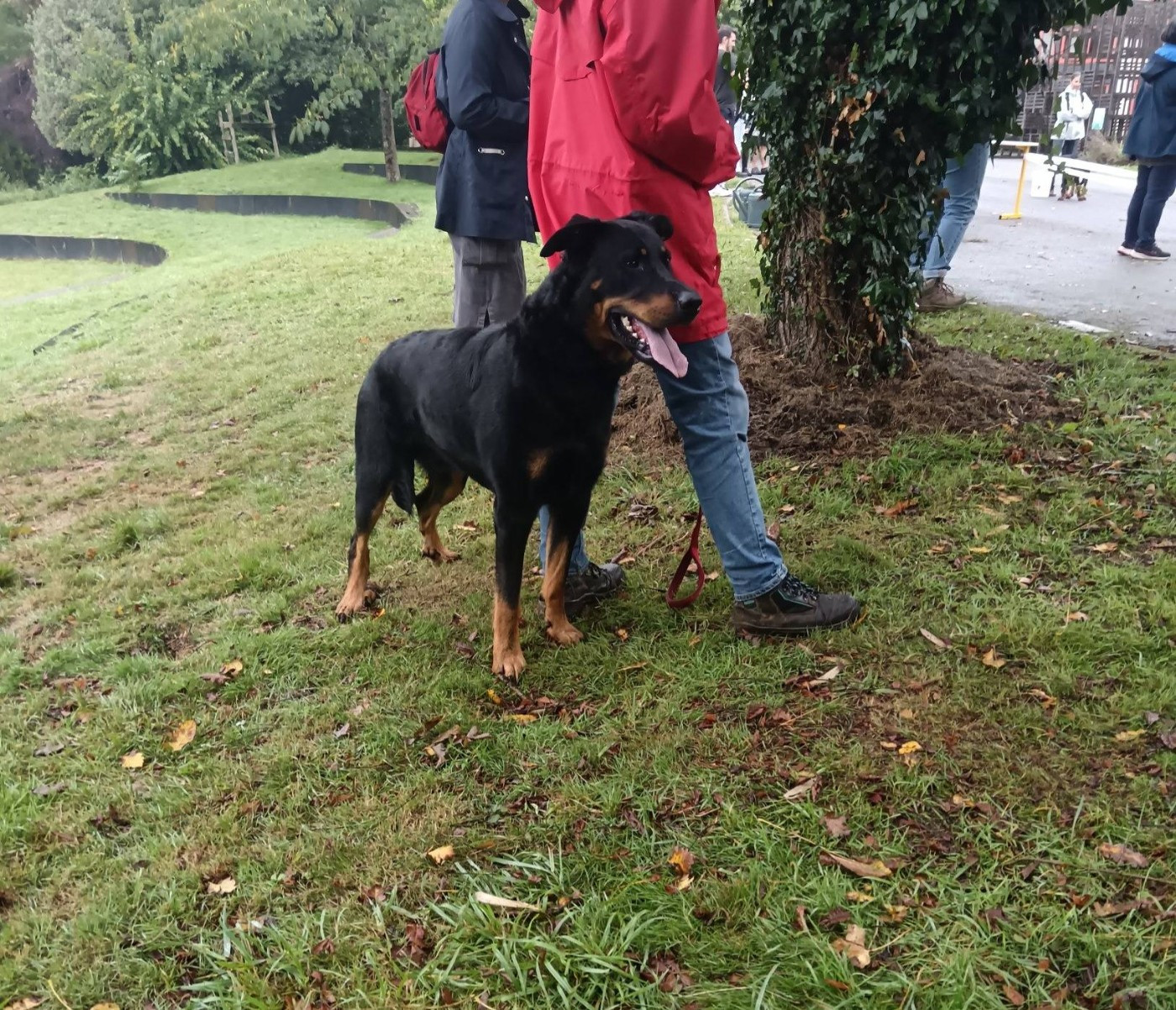 Ubac obtient sa cotation 2 !