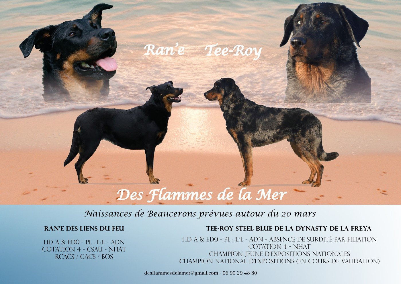 La cigogne devrait passer au printemps 2026 !