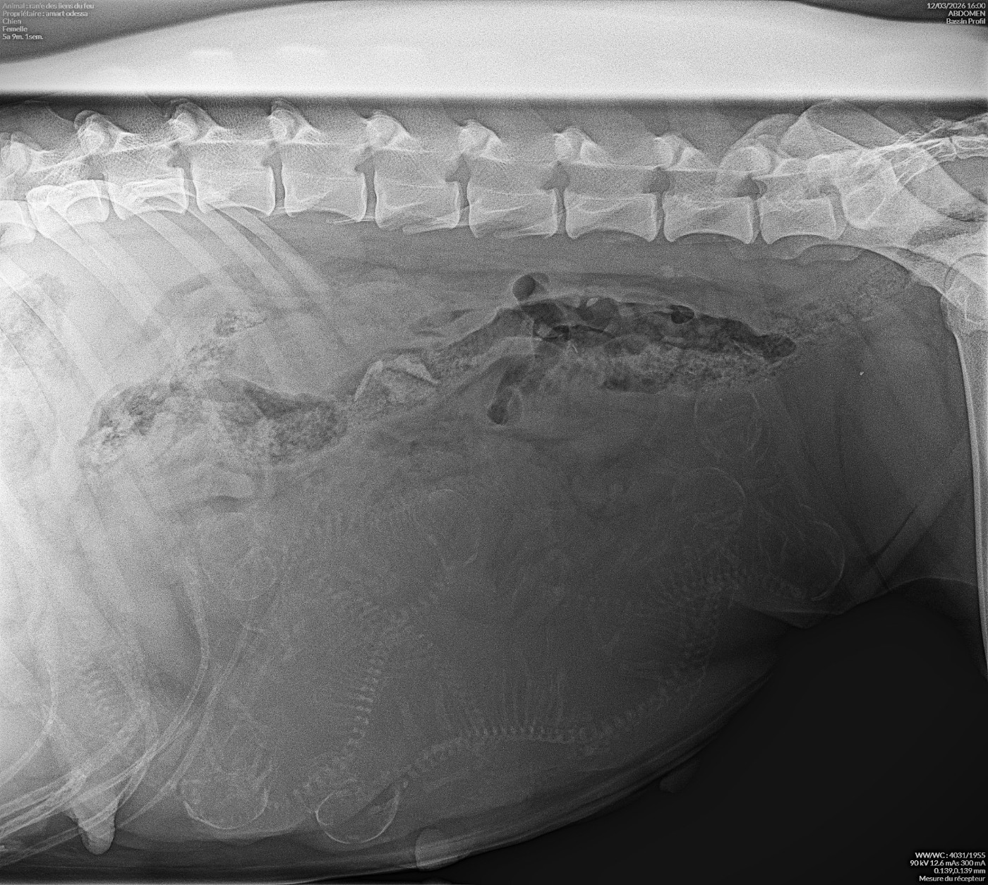 Les TeeRan'e à venir devraient arriver en force !