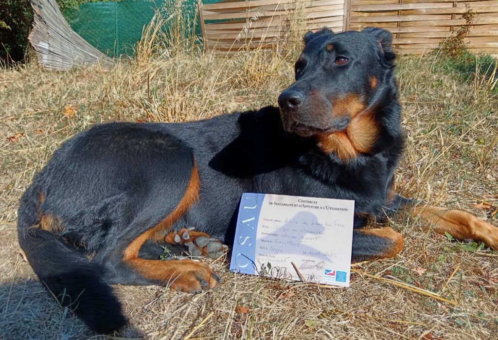 Ran'e obtient son CSAU 